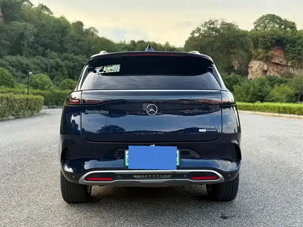 Denza X 2020