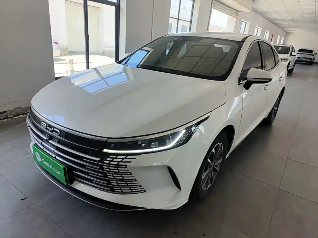 BYD Destroyer 05 2024 — фото 1