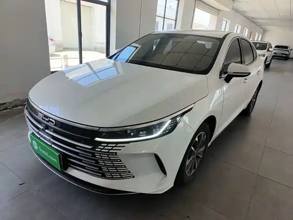 BYD Destroyer 05 2024