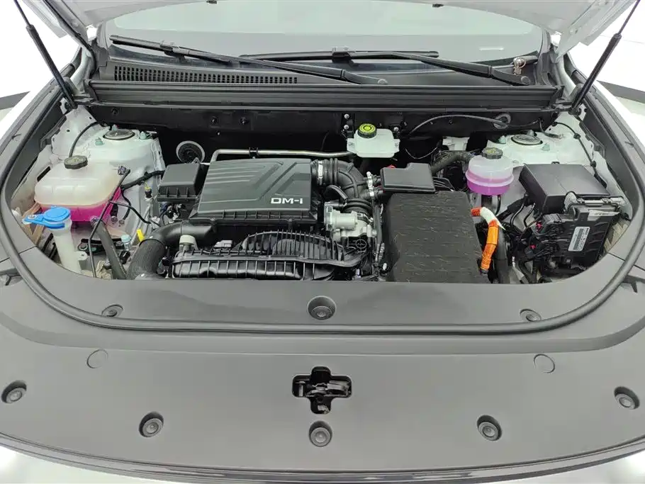 BYD Pro New Energy 2024 — фото 10