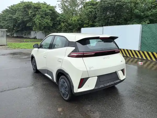 BYD Seagull 2026