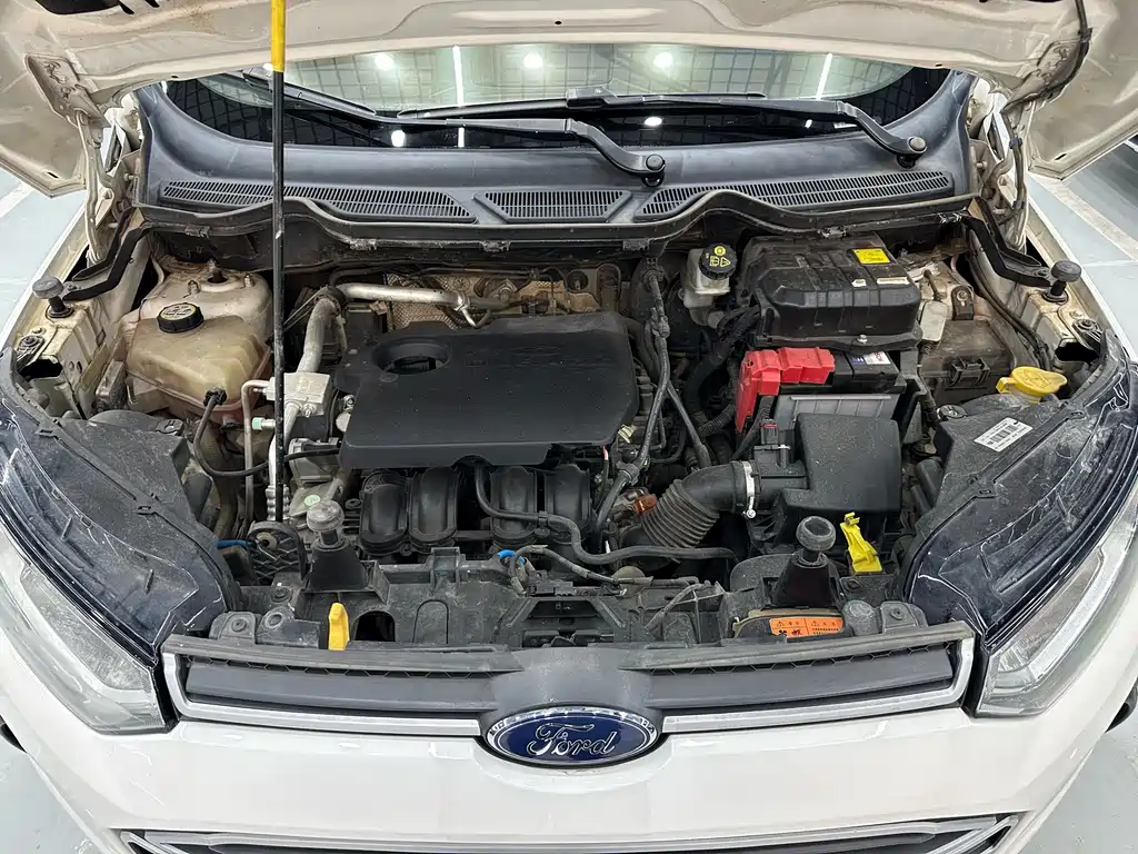 Ford Ecosport 2017 — фото 27