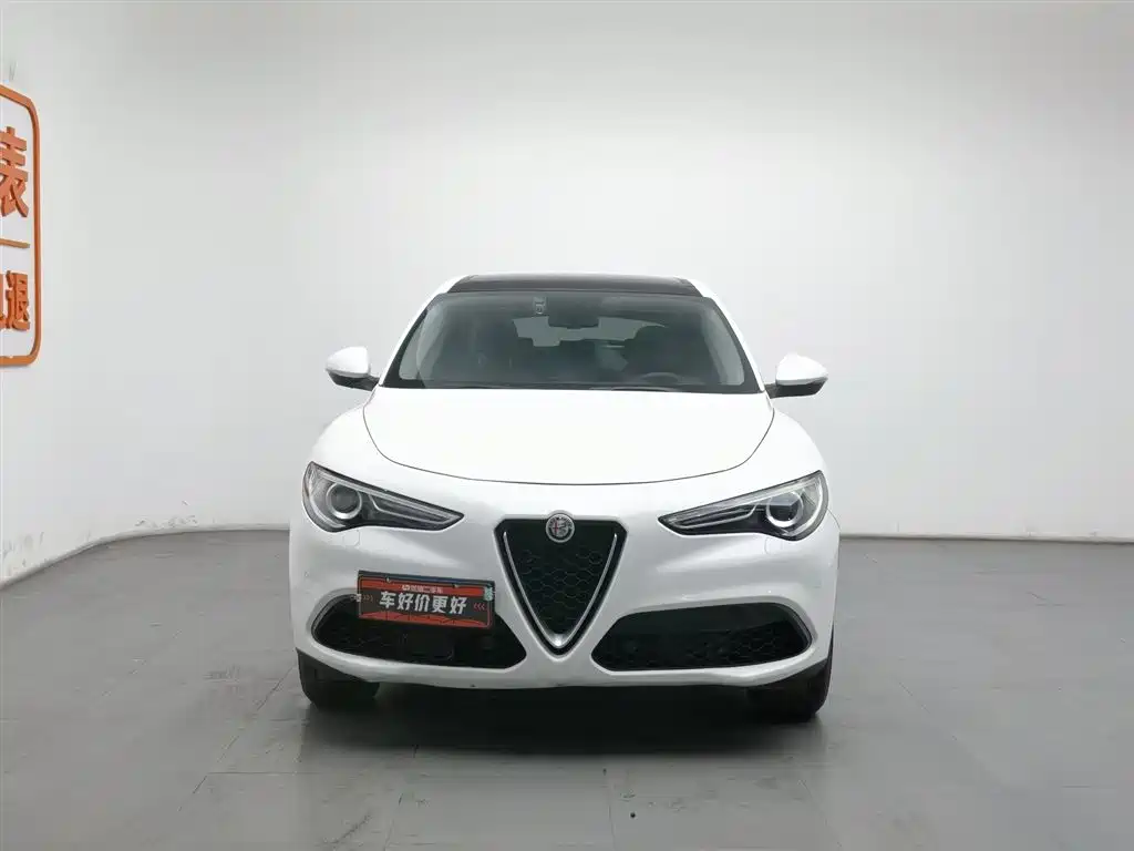Alfa Romeo Stelvio 2019 — фото 3