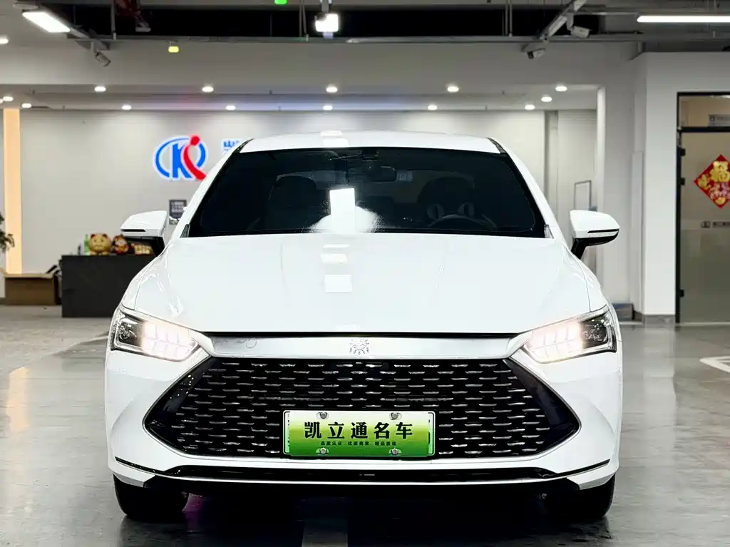 BYD Qin PLUS 2024 — фото 2