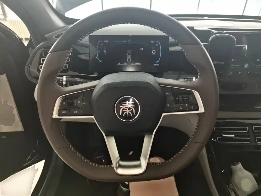 BYD Qin PLUS 2024 — фото 11