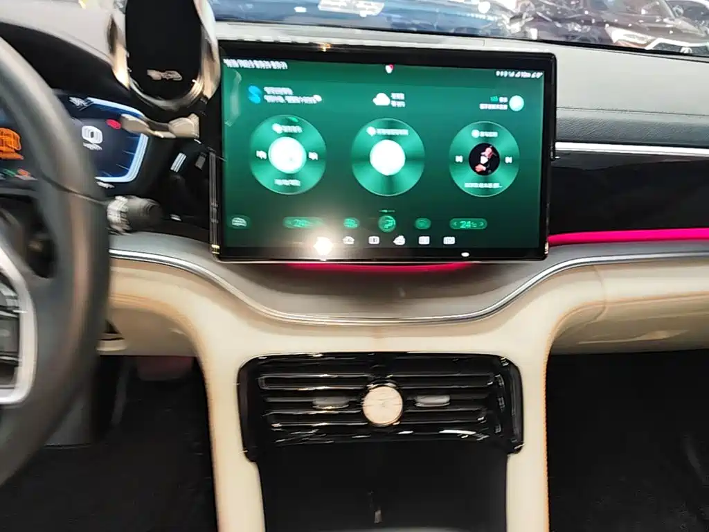 BYD Song PLUS New Energy 2024 — фото 13