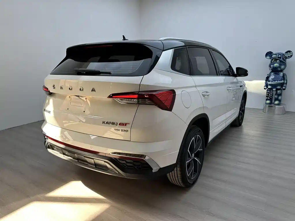 Skoda Kamiq 2021 — фото 8