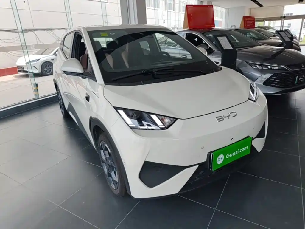 BYD Seagull 2026