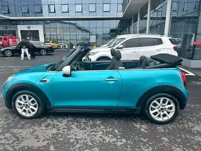 MINI MINI 2018