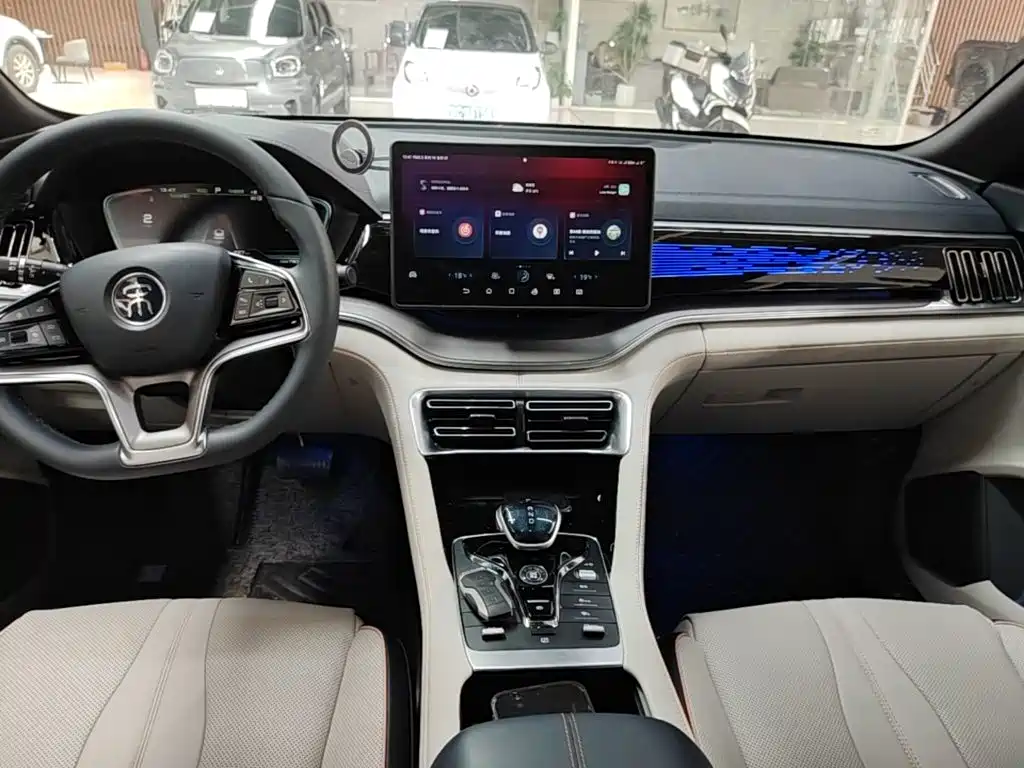 BYD Song PLUS New Energy 2021 — фото 14