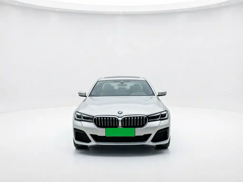 BMW 5 Series New Energy 2021