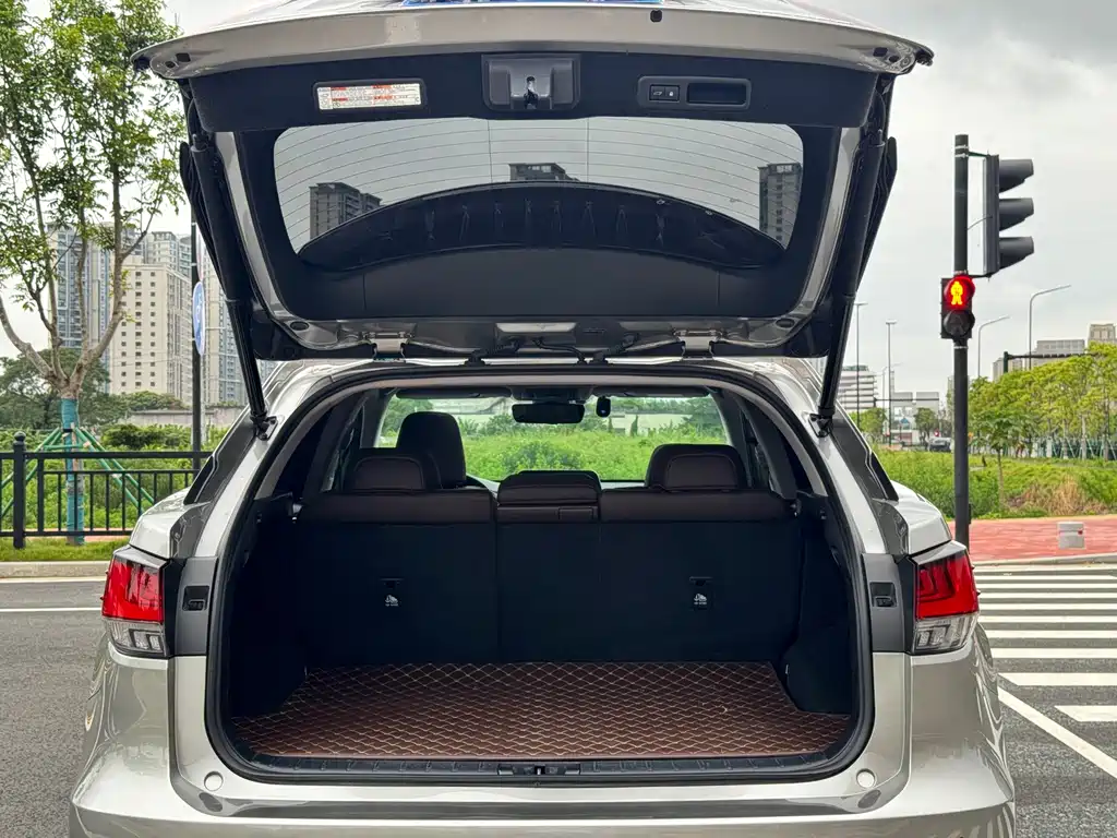 Lexus RX 2020 — фото 15