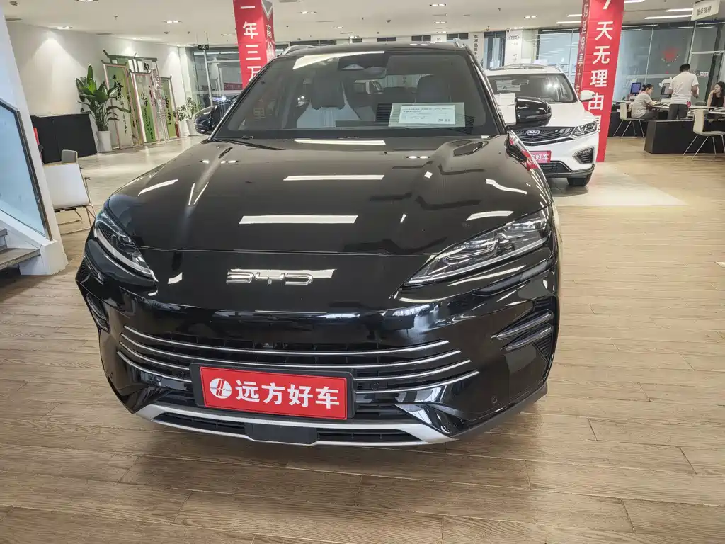 BYD PLUS New Energy 2024