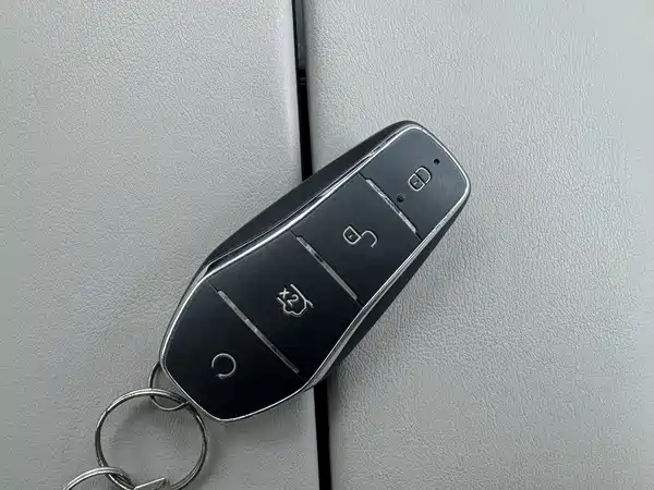 BYD Tang New Energy 2024