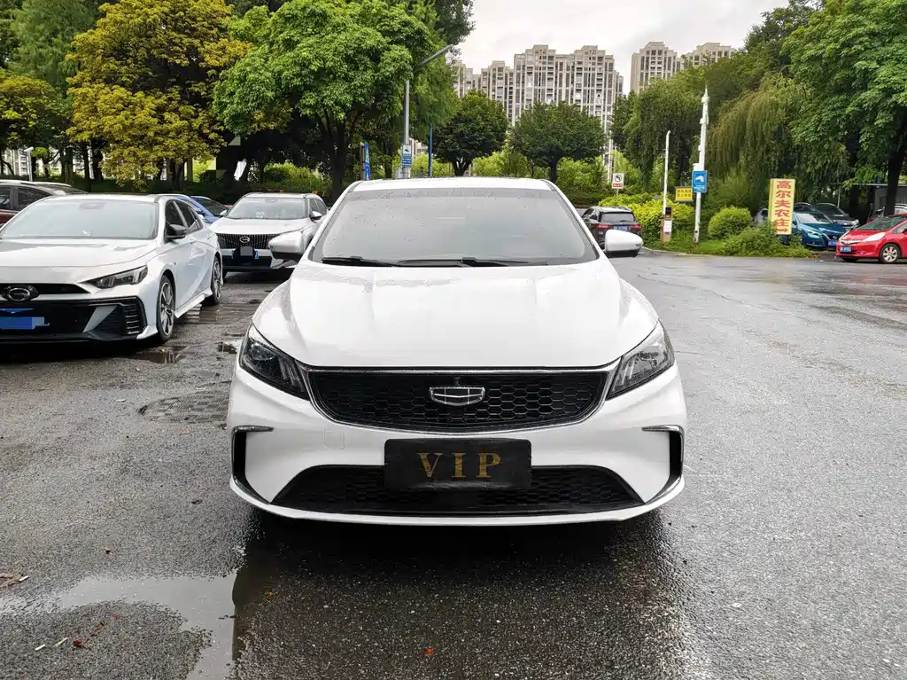 Geely Binrui 2024