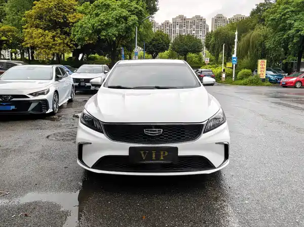 Geely Binrui 2024