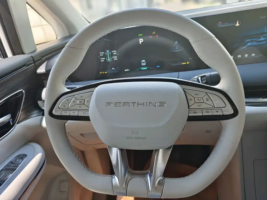Dongfeng Forthing Xinghai V9 2024 — фото 14