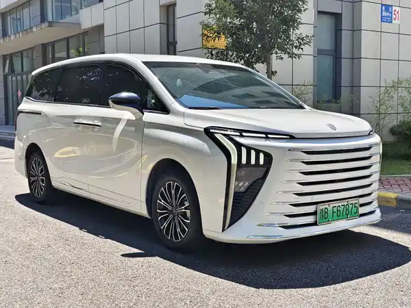 Dongfeng Forthing Xinghai V9 2024