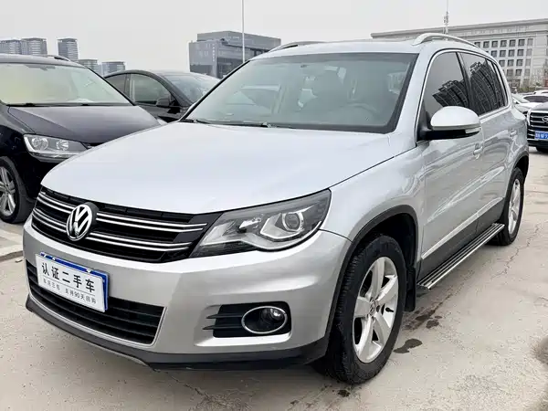 Volkswagen Tiguan 2010