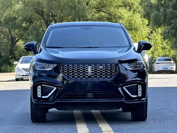 Wey VV5 2020