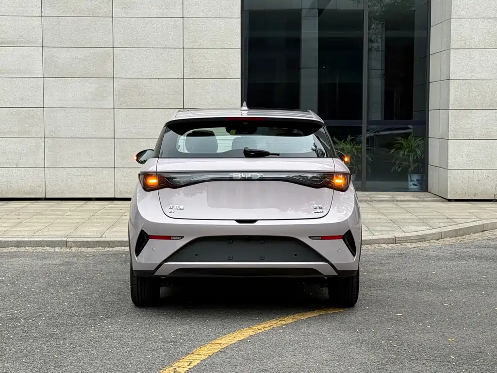 BYD Dolphin 2025 — фото 18