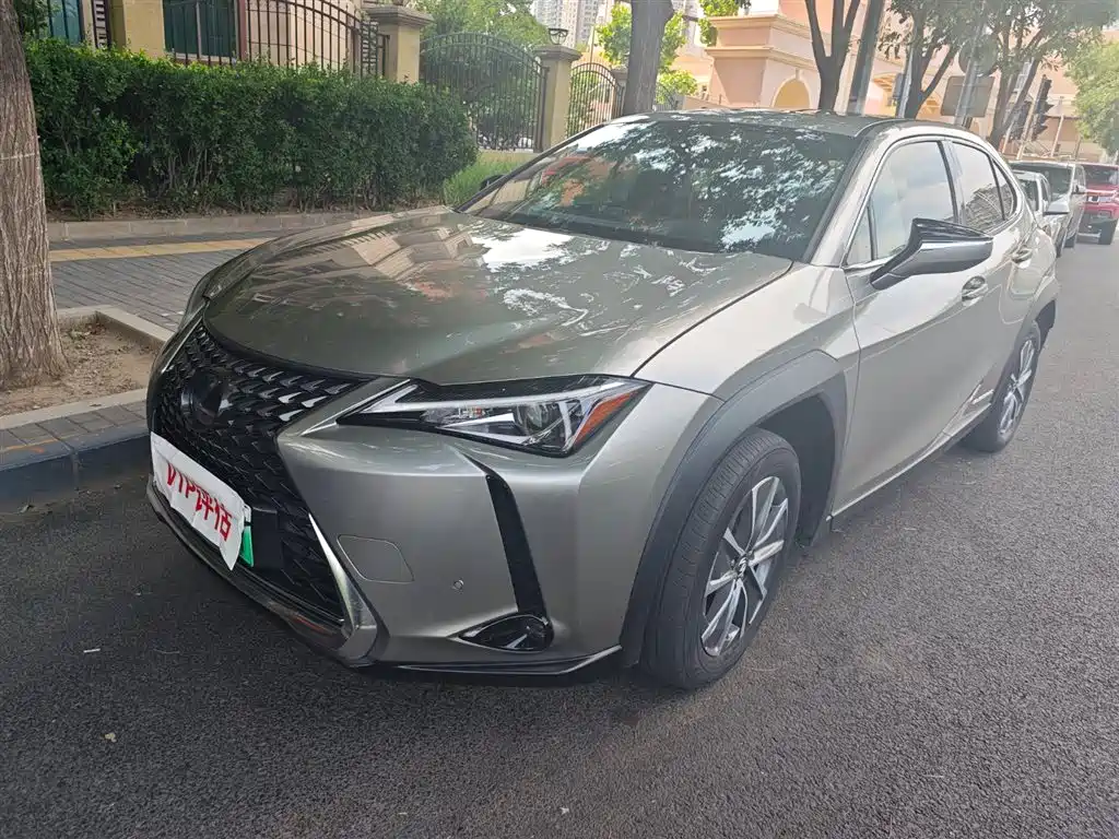 Lexus UX New Energy 2020 — фото 1