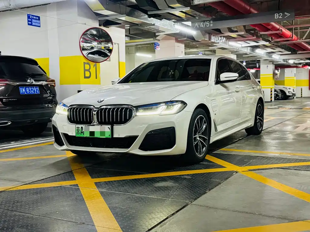 BMW 5 Series New Energy 2020