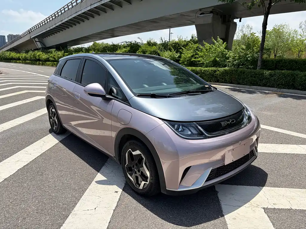BYD Dolphin 2022