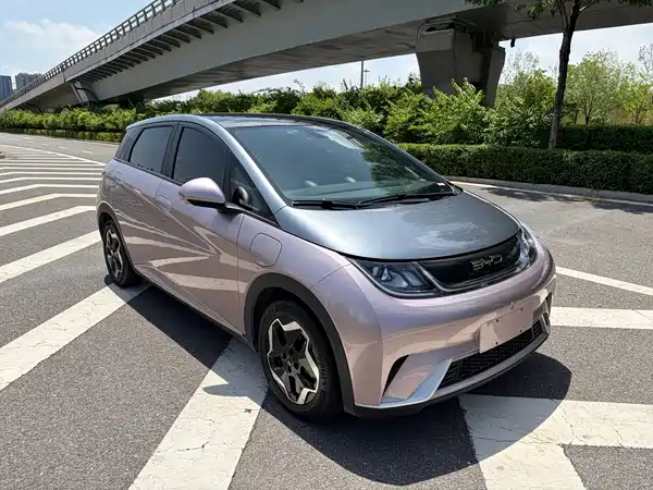 BYD Dolphin 2022