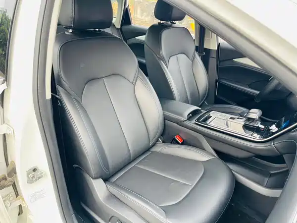 Roewe Feifan ER6 2021