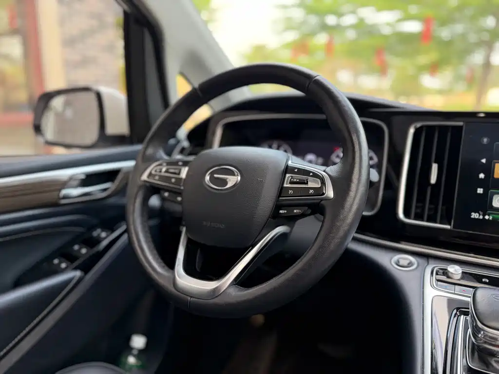 GAC Motor Trumpchi M8 2022 — фото 16