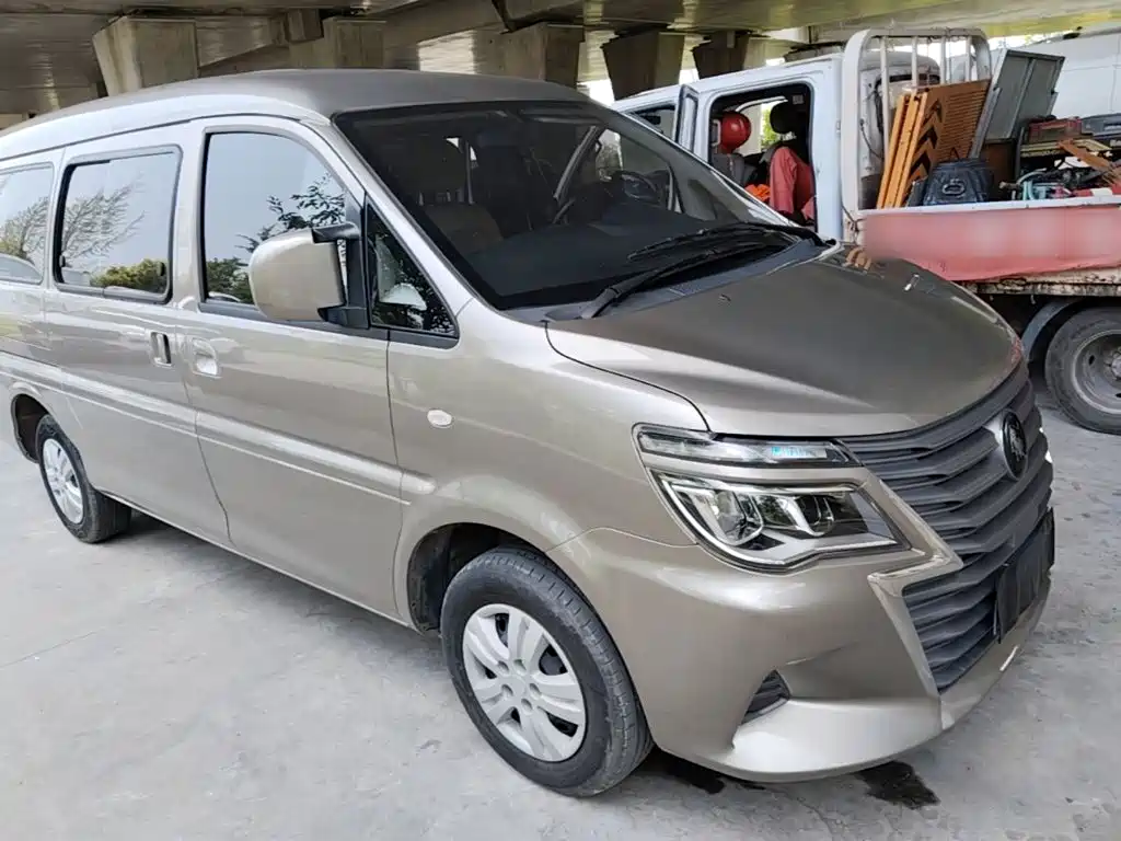 Dongfeng Lingzhi 2024
