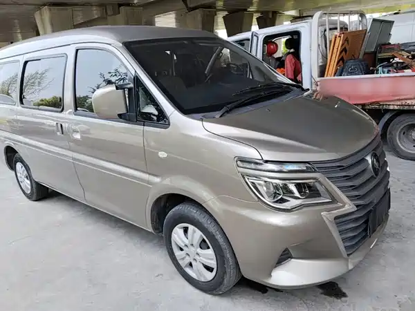 Dongfeng Lingzhi 2024