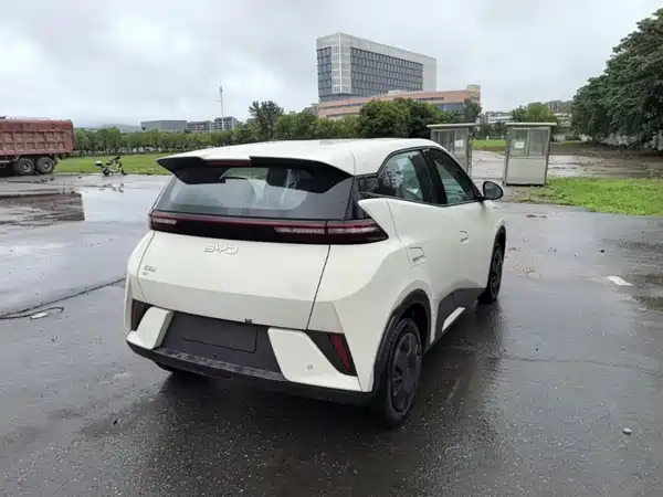 BYD Seagull 2026
