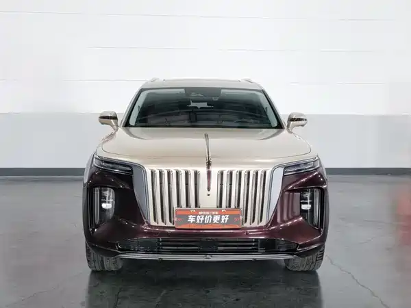 Hongqi E-HS9 2021