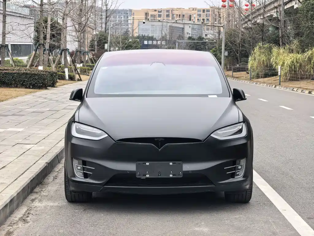 Tesla Model X 2019 — фото 2
