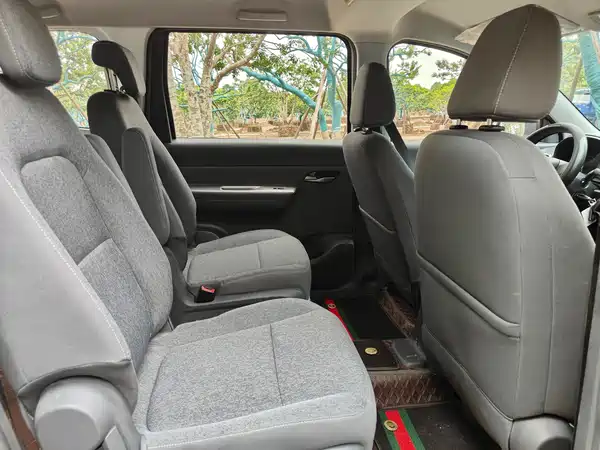 Wuling Hongguang New Energy 2025