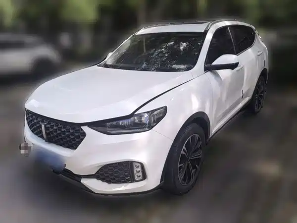 Wey VV6 2020