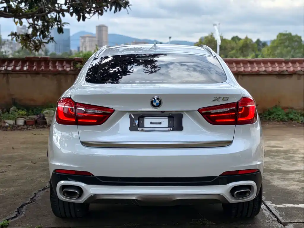 BMW X6 2019 — фото 8