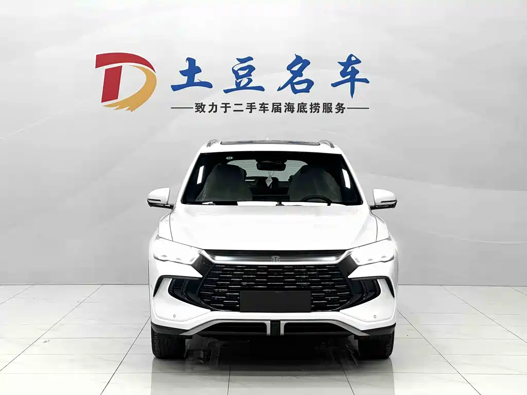 BYD Pro New Energy 2025 — фото 2