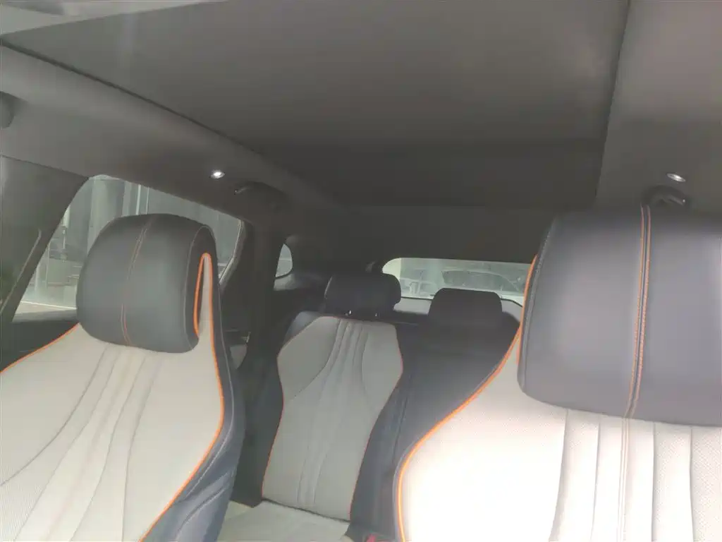 BYD PLUS New Energy 2022 — фото 14