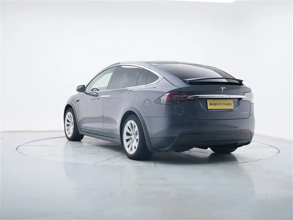Tesla Model X 2020