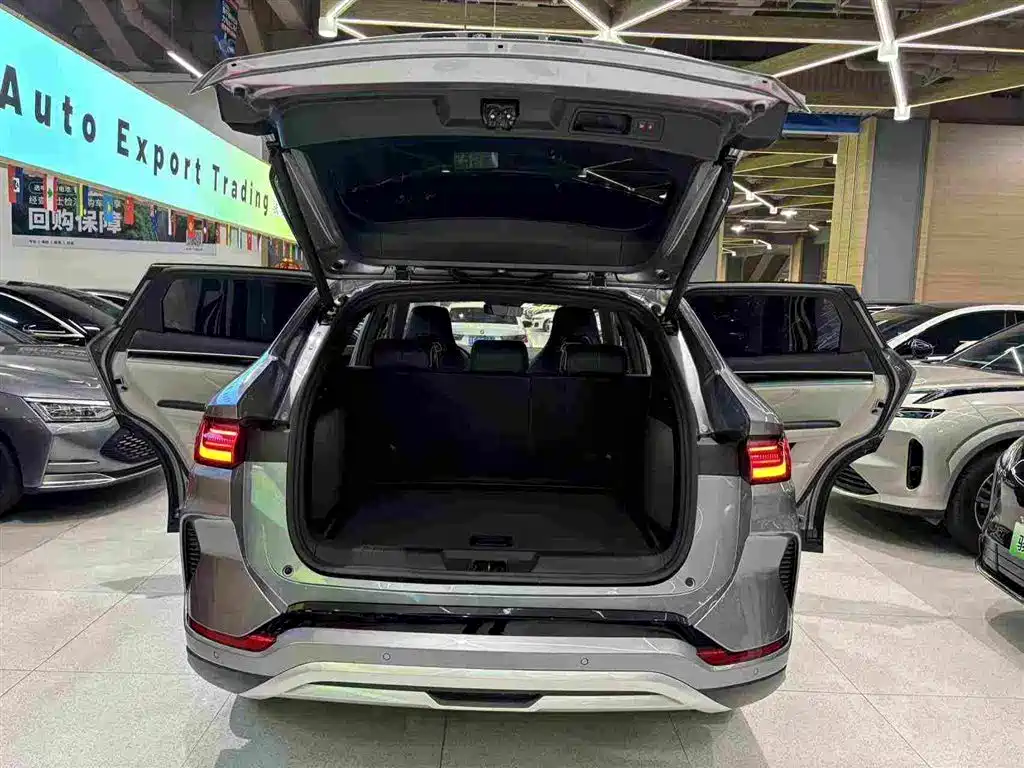 BYD Song PLUS New Energy 2024 — фото 7