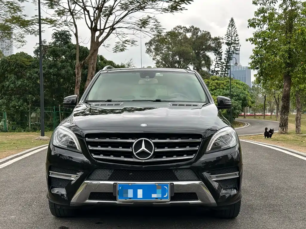 Mercedes-Benz M-Class 2015 — фото 2