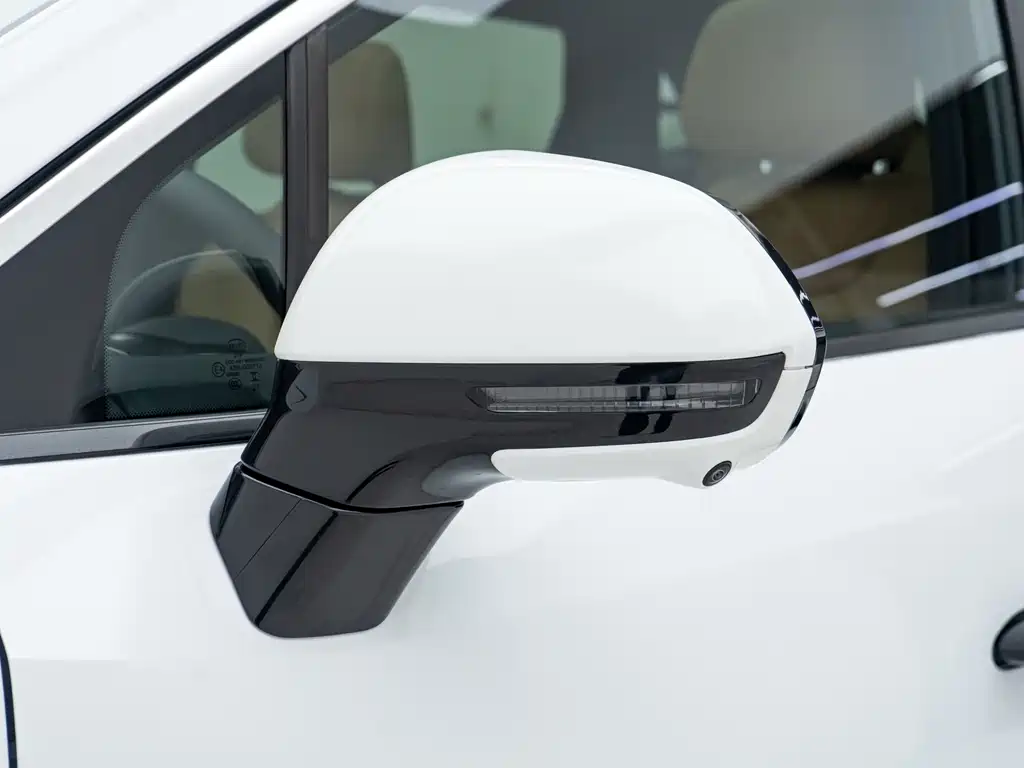 BYD L DM-i 2025 — фото 22