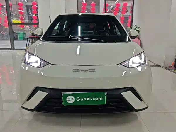 BYD Seagull 2024