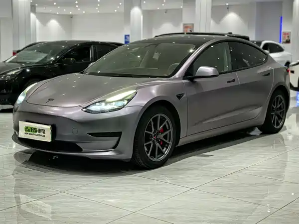 Tesla Model 3 2021
