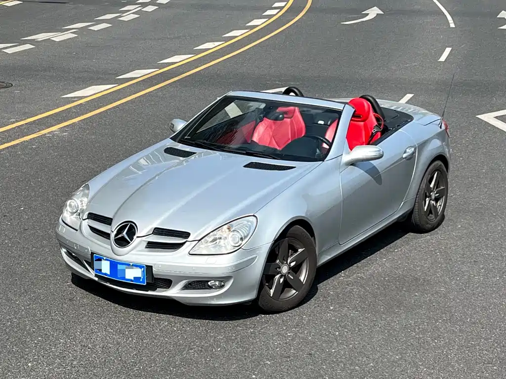 Mercedes-Benz SLK-Class 2008 — фото 1