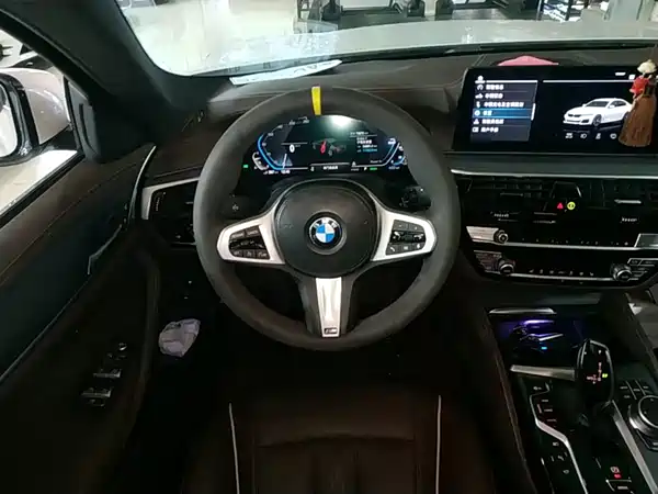 BMW 5 Series New Energy 2021