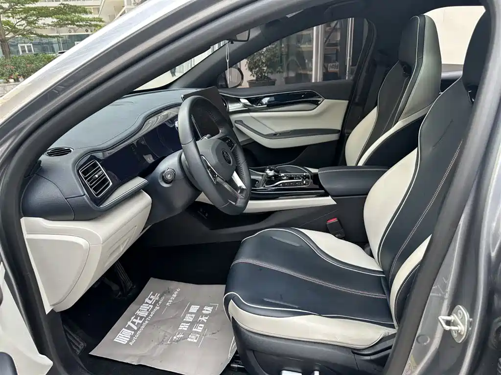 BYD Qin PLUS 2023 — фото 15